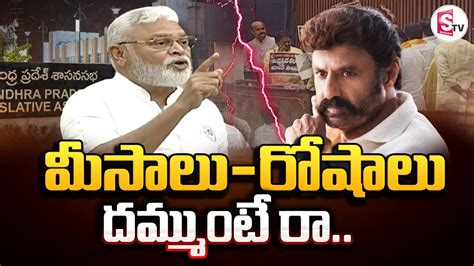 మసల రషల TDP Balakrishna vs YCP Ambati Rambabu AP