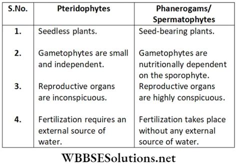 Neet Foundation Biology Chapter 3 Diversity In Living Organisms Long Answer Questions Wbbse