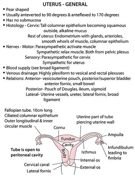 Instant Anatomy Abdomen Vessels Veins Uterine Veins