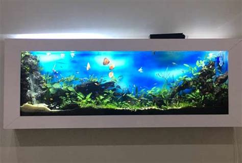 Gambar Aquarium Kecil Bonus