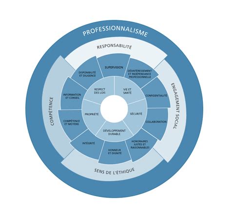 Professionnalisme Et Valeurs De La Profession