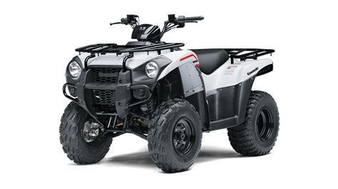 2024 Kawasaki Brute Force 300 Review - Jeana Lorelei