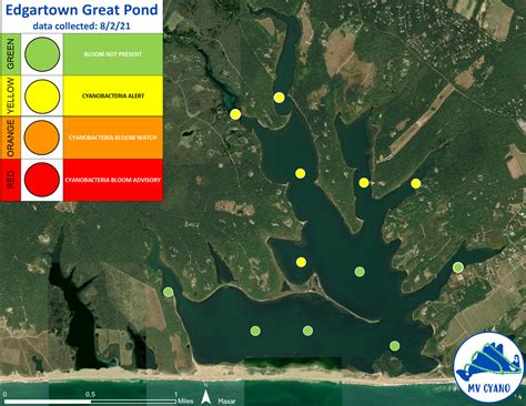 Great Pond Foundation Cyanobacteria Alert