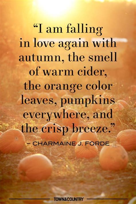 14 Pumpkin Patch Quotes For Fall Best Pumpkin Quotes To Celebrate Autumn