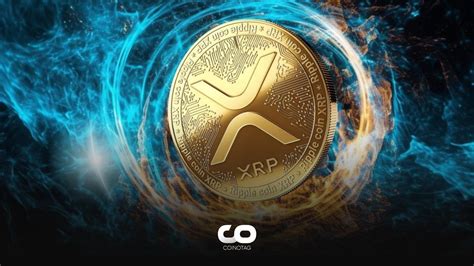 Balinalar Ripple N Xrp Sini Tekrar Biriktirmeye Ba Lad Coinotag