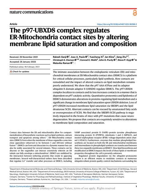 PDF The P97 UBXD8 Complex Regulates ER Mitochondria Contact Sites By