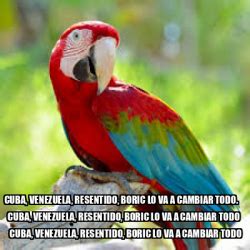 Meme Personalizado Cuba Venezuela Resentido Boric Lo Va A Cambiar