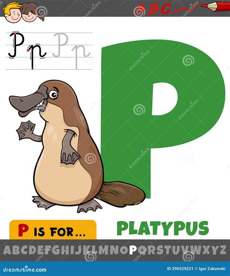 Letter P From Alphabet With Cartoon Platypus Animal Character Stock