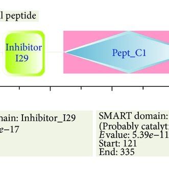 The Predicted Secondary Structure Of SeCP By Using PSIPRED There Were