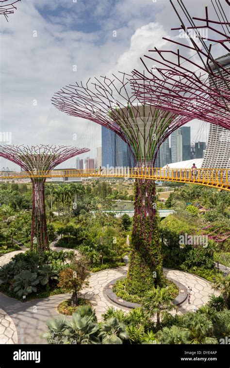 Gardens by the Bay - The park consists of three waterfront gardens: Bay ...