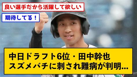 スズメバチに刺されて難病が判明した中日ドラフト6位・田中幹也、今の気持ちを語る【なんjコメント付き】 Youtube