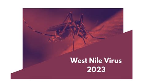 West Nile Virus Centro Nazionale Sangue