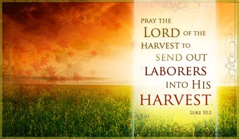 Harvest Blessings Quotes. QuotesGram