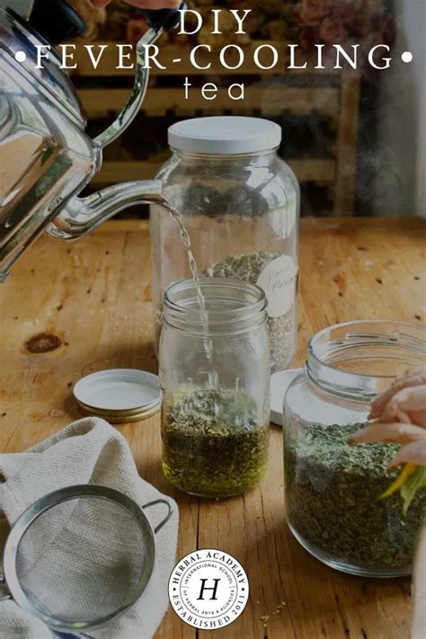 Diy Fever Cooling Tea For Uncomfortably Hot Bodies Herbal Academy