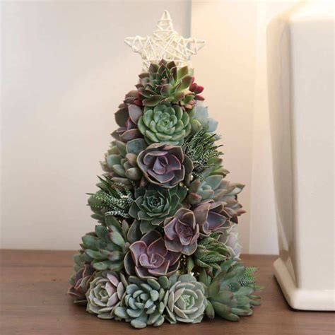 50 Stunning Succulent Christmas Trees