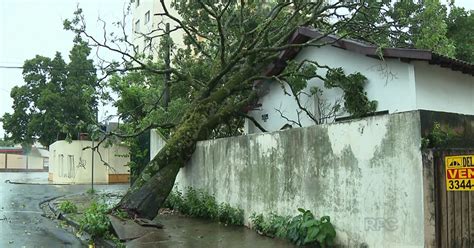 G1 Chuva Forte Causa Alagamentos E Quedas De árvore Em Londrina