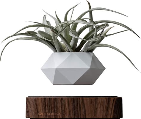 Authentic Levitating Floating Plant Pot For Air Plants Magnetic