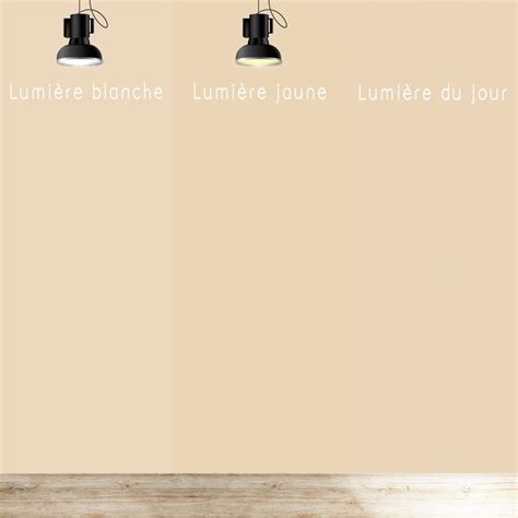 Peinture murale velours Nude déco Déco