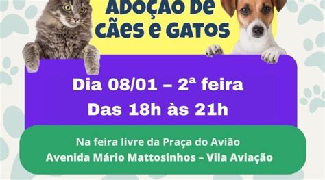 Bauru Evento De Ado O De C Es E Gatos Ser Realizado Na Pra A Do Avi O