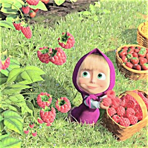 arsha  bear hinh anh hoat hinh de thuong