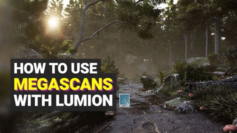 How To Use Megascans With Lumion Quixel Megascans And Pbr Materials