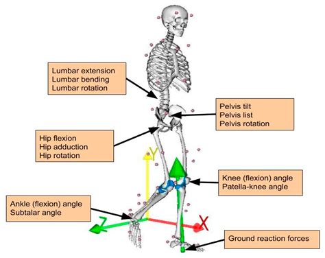 Sensors Free Full Text Real Time Prediction Of Joint Forces By Motion Capture And Machine