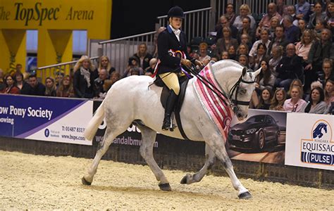 Marvel At 23 Showing Champions Crowned At Hoys Horse And Hound