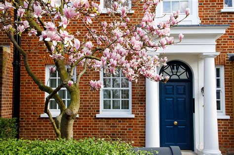 Best Trees For Front Yards 8 Picks For Curb Appeal Livingetc