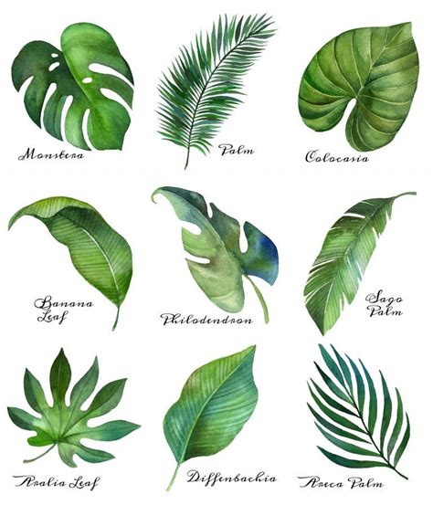 FREE Printable Tropical Leaves | Printable Leaves