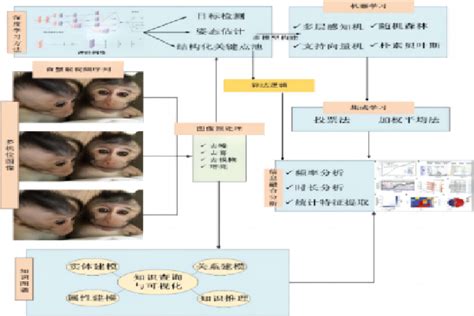 Ai动物精细行为分析 苏州拉夫海思科技有限公司