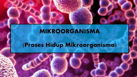 Proses Hidup Mikroorganisma Sains Tahun Youtube Hot Sex Picture