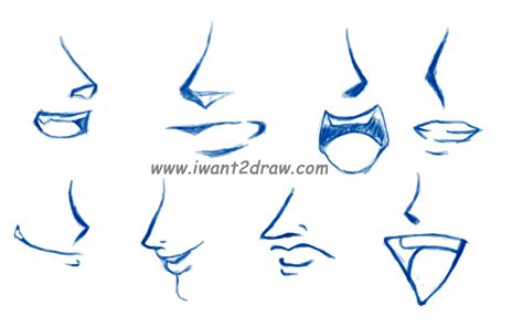 Draw Anime Nose And Mouth