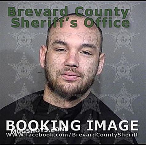 LOW PHOENIX CHANSLER 07 07 2021 Brevard County Mugshots Zone