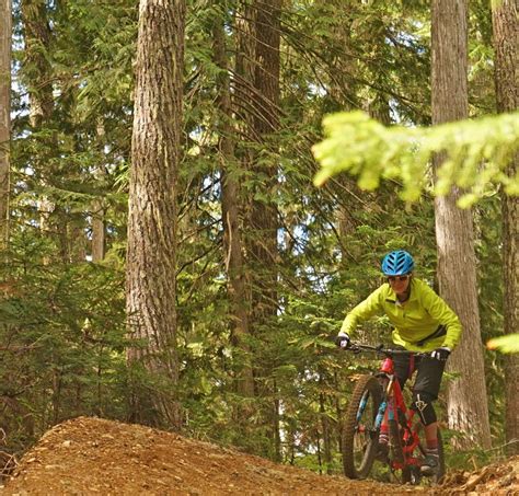 Whistler Bike Park 2019 Updates New Trails And Rejuvenated Terrain