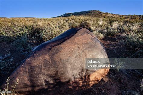 South African Petroglyphs Great Karoo Stock Photo Download Image Now