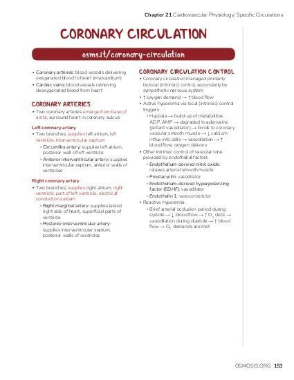 Coronary circulation: Video, Causes, & Meaning | Osmosis