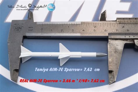 Tomcat Tamiya Sukhoi F Tomcat