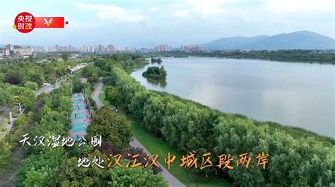 习近平陕西行丨走进汉中市天汉湿地公园 中国日报网