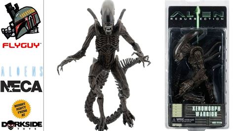 Neca Alien Resurrection Xenomorph Warrior 7 Scale Toy Action Figure Review By Flyguy Youtube