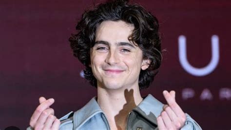 Timothée Chalamet Net Worth 2024 Filmography and Earnings OtakuKart