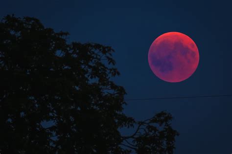 Blood Moon Lunar Eclipse Full Free Photo On Pixabay