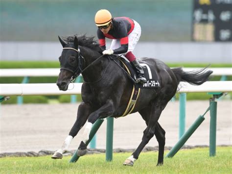 【pog】新馬戦開幕！ 競馬ファンが選んだpogドラフト1位は？ 競馬ニュース Netkeiba