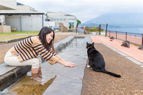 女人玩猫和泡脚高清图片下载 正版图片507570634 摄图网