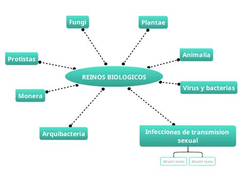 REINOS BIOLOGICOS Мыслительная карта