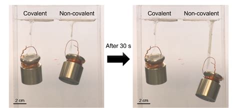 Figure 1 From Covalent Topological Adhesion Semantic Scholar