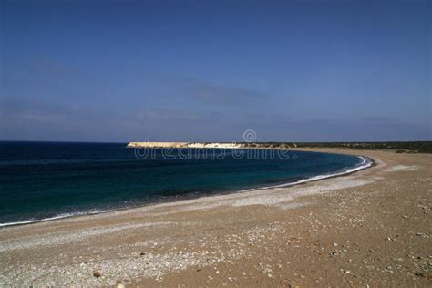 Lara Beach, Akamas stock photo. Image of turtle, sunny - 166694014