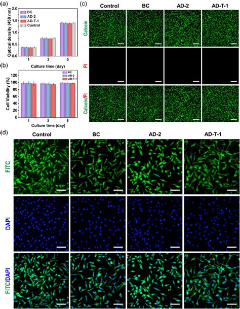 A Od Value And B Cell Viability Of L Cells On Different