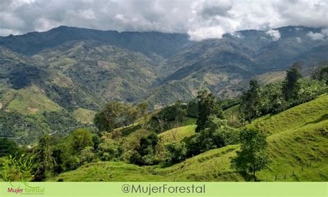 Cascadas Del Chupal La Vega Cundinamarca Mujerforestal