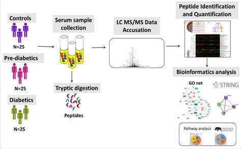 Experimental Workflow For Proteomic Analysis Download Scientific Diagram