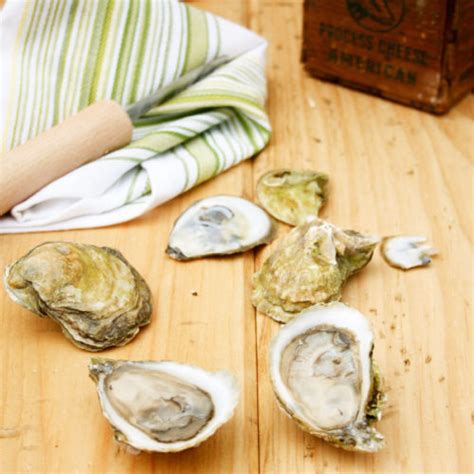 Wellfleet Oysters (MA) – Element Seafood